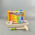 Produktbild: Hape Holz Xylophon 🎵 Musikinstrument, gebraucht, ab 3 4 5 Jahre | ✅ geprüft