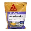 Produktbild: Sika Frankreich S.A.S 552185 Zusatzstoff, zum Einbetonieren kaltem Wetter, beige