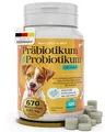 Produktbild: Probiotika Hund mit 670 Milliarden KBE - Optimale Kombi mit Präbiotika für Starke Verdauung - Geprüfte Qualität mit Bakterienstämmen Made in Germany - Darmflora aufbauen, Natureflow Pets Darmkur Hund