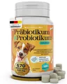 Produktbild: Probiotika Hund mit 670 Milliarden KBE - Optimale Kombi mit Präbiotika für St...