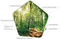 Produktbild: Olymp Sounds of Nature Box Sound-Box Sauna Wellness Beach Strand NEU