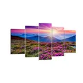 Produktbild: Wandbilder Dekoration Wohnzimmer Wiese Berg Himmel Landschaft Bilder auf Leinwand 160x85cm Leinwandbild Schlafzimmer Set 5 teilige Wand Kunstdruck Art Groß XXL Wanddeko Bild Canvas EA160x85-2719