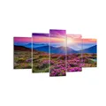 Produktbild: Wandbilder 160x85cm 5 tlg Leinwandbild Wiese Berg Himmel Landschaft XXL Bilder