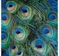 Produktbild: Ambiente Luxury Paper Products Papierserviette 20 Servietten Peacock Feathers 33x33cm, (20 St)