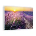 Produktbild: Bilder auf Glas Feld Lavendel Sonne Glasbild 70x50cm Wandbilder Dekoration Wohnzimmer Schlafzimmer Küche Deko Klein Wanddeko Bild im Glas Wand Kunstdruck Art Modern Wall Decor Glasdruck GAA70x50-4703