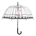 Produktbild: Esschert Design Regenschirm Transparent Vogelkäfig