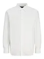Produktbild: Jprblabushwick Stanley Shirt L/S Sn