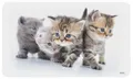 Produktbild: Kesper 31220 Frühstücksbrettchen KATZE aus Melamin/Stullenbrett/Brotbrett