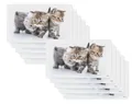 Produktbild: 10er SET Kesper 31220 Frühstücksbrettchen KATZE aus Melamin/Stullenbrett/Brotbrett