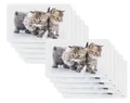Produktbild: 10er SET Kesper 31220 Frühstücksbrettchen KATZE aus Melamin / Stullenbrett / ...