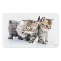 Produktbild: Frühstücksbrettchen Katze Kätzchen 23,5x14cm Melamin rutschfest Schneidebrett