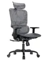Produktbild: HUANUO Ergonomischer Mesh-Bürostuhl, hohe Rückenlehne Schreibtischsessel mit Verstellbarer Lendenwirbelstütze, Armlehnen, Kippfunktion, Mesh Computer Gaming Chair