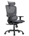 Produktbild: HUANUO-Stuhl: Ergonomisch, Netzbezug, 5-stufige Lendenwirbelstütze