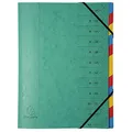 Produktbild: Exacompta 54120E Premium Ordnungsmappe aus extra starkem Colorspan-Karton DIN A4 12 vollfarbige bunte Fächer mit Organisationsdruck Ringmappe Register-Mappe 1 Stück Zufallsfarbe