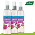 Produktbild: Westland 3 x 250 ml Orchideen Vitalspray »Die Nr 1 in England für den Garten«