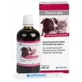 Produktbild: PULMO ALFA Ergänzungsfutterm.flüss.f.Hunde/Katzen 100 ml