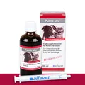 Produktbild: Alfavet Pulmo alfa, Saft zur Unterstützung der Atemwege von Hund und Katze, Ergänzungsfuttermittel, 100ml mit Dosierspritze