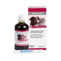Produktbild: Alfavet Pulmo alfa 100 ml | Abwehrkräfte der Atemwege | Hund & Katze