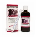 Produktbild: PULMO ALFA Ergänzungsfutterm.flüss.f.Hunde/Katzen 100ml PZN 12522011