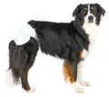 Produktbild: Hundewindeln Hündinnen XS-S 20-28cm 12 Stück TRIXIE Hygieneartikel