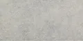 Produktbild: Bodenfliese Feinsteinzeug Absolute 31 x 62 cm grau  Bodenfliese