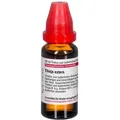 Produktbild: Thuja Extern Tinktur 20 ml
