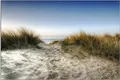 Produktbild: Wallario Outdoor-Poster für Garten oder Balkon, Motiv Weg durch die Dünen zum Strand am Meer, in ca. 61 x 91,50 cm