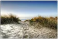 Produktbild: Wallario Outdoor-Poster für Garten oder Balkon Weg durch die Dünen zum Strand am Meer, Motivbanner Größe: ca. 60 x 90 cm, Outdoor-Bild