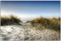 Produktbild: Wallario Sichtschutzzaunmatten Weg durch die Dünen zum Strand am Meer