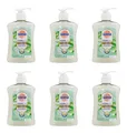 Produktbild: Sagrotan Hygiene Seife Aloe Vera Duft Seifenspender , 6x250ml EAN4002448099871