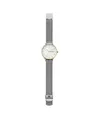 Produktbild: Skagen Damenuhr Riis, Dreizeiger Uhrwerk, 36mm Gold Edelstahlgehäuse mit Edelstahl Mesh Armband, SKW2912, Silber