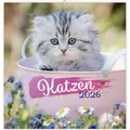 Produktbild: Trötsch BroschürenkalenderKatzen2026 (30 x 30 cm) (59301349)