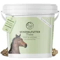 Produktbild: Sport & Leistung Mineralfutter Pferde getreidefrei - Ergänzungs Pferdefutter für Pferde mit Aminosäuren, Vitaminen, Mineralstoffen & Spurenelementen, wie Zink, Selen, Omega 3 & Jod (3 kg Eimer)