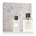 Produktbild: Hermès Terre D'Hermès EDT 50 ml + SG 40 ml (man)