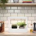 Produktbild: Home Garden LED Mini Garten - Indoor Kräuter Garten & Regrowing Set