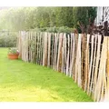 Produktbild: Staketenzaun Mila 60 x 300 cm, gerollt - Beige