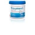Produktbild: Traumeel T ad us. vet. Tierarznei 500 St