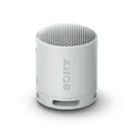 Produktbild: Tragbare Bluetooth-Lautsprecher Sony SRSXB100H.CE7 Grau