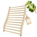 Produktbild: HOFMEISTER® Ergonomische Rückenstütze aus Holz für Saunabänke - Bequemes Sitzen und Saunagenuss - Ideales Saunazubehör