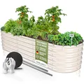 Produktbild: HOFGARTEN 200x60x42cm QuickGrow Metall Hochbeet 6-in-1 | Stahl rostfrei verzinkt & lackiert | sehr stabiles Garten Beet oval für Gemüse Kräuter Blumen | modulares Hochbeete-Kit | Cremeweiß