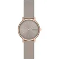 Produktbild: Skagen Damenuhr Lille SKW3060 Edelstahl 88536851