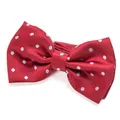 Produktbild: Edle gepunktete rote Fliege bzw. Schleife mit Haken - bereits gebunden und ve...