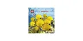 Produktbild: Tessloff Verlag Hörspiel-CD Was ist was Hörspiel-CD: Welt der Fische/ Wunder der Ozeane