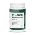 Produktbild: Mucura Flohsamenschalen Kapseln 225 Stück - Schnelle & Einfache Einnahme - Mind. 99% Reinheit - Verdauungsunterstützung - Geschmacksneutrale Ballaststoffe - Reisefreundlich - Psyllium Husk