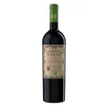 Produktbild: Doppio Passo Primitivo BIO, Rotwein Italien (1 x 0,75l)