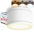 Produktbild: SSC-LUXon CELI-WX Aufbauspot IP44 flach für Außen & Bad mit GX53 LED wechselbar 3W warmweiß - Aufbaustrahler rund weiß 230V