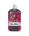 Produktbild: 6x Coccolino XXL Konzentrierter Weichspüler Tiare-Blüten und Rote Früchte 1750ml