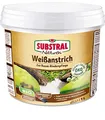 Produktbild: Substral Naturen Bio Weißanstrich - 1 L