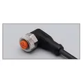 Produktbild: IFM electronic Kabeldose M12 EVC008 10-36VDC Konfektioniertes Sensor-Aktor-Kabel 4021179021296 (5 m) (EVC008)