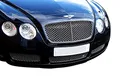 Produktbild: Zunsport Kompatibel mit Bentley Continental GT – unterer Grill, Grillsatz, silbern (2003 bis 2007)